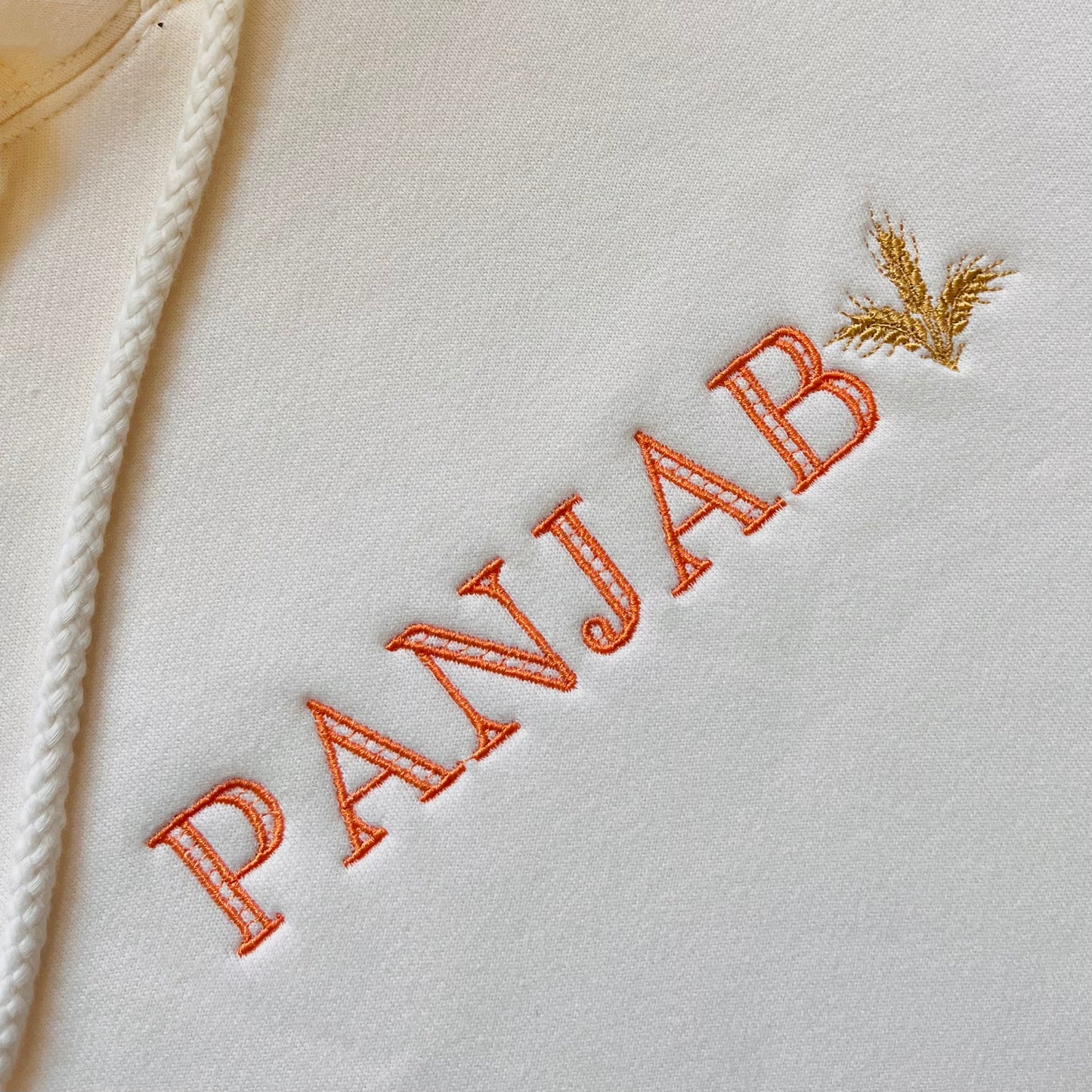 panjab hoodie