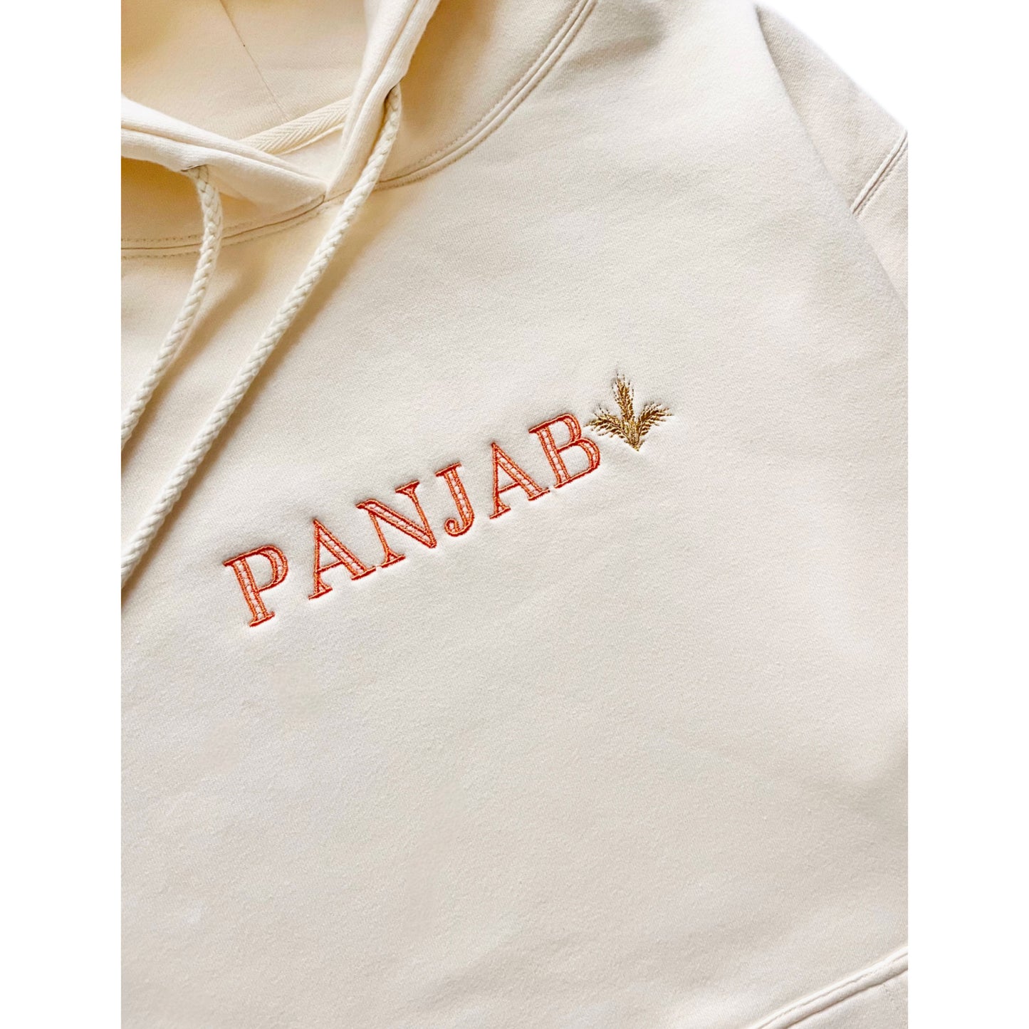 panjab hoodie