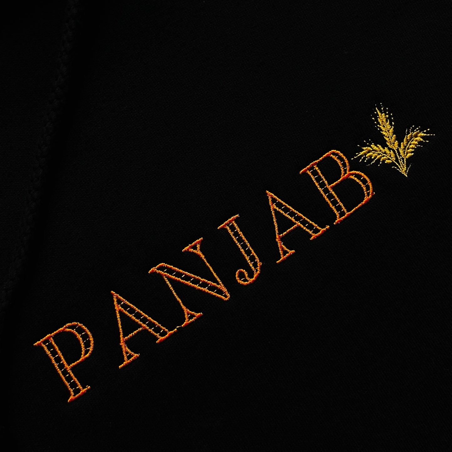 panjab hoodie